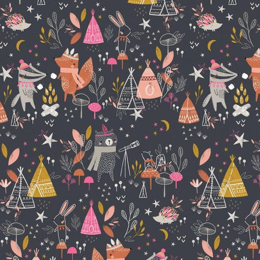 Dashwood Studio - Under the stars - Star gazing
