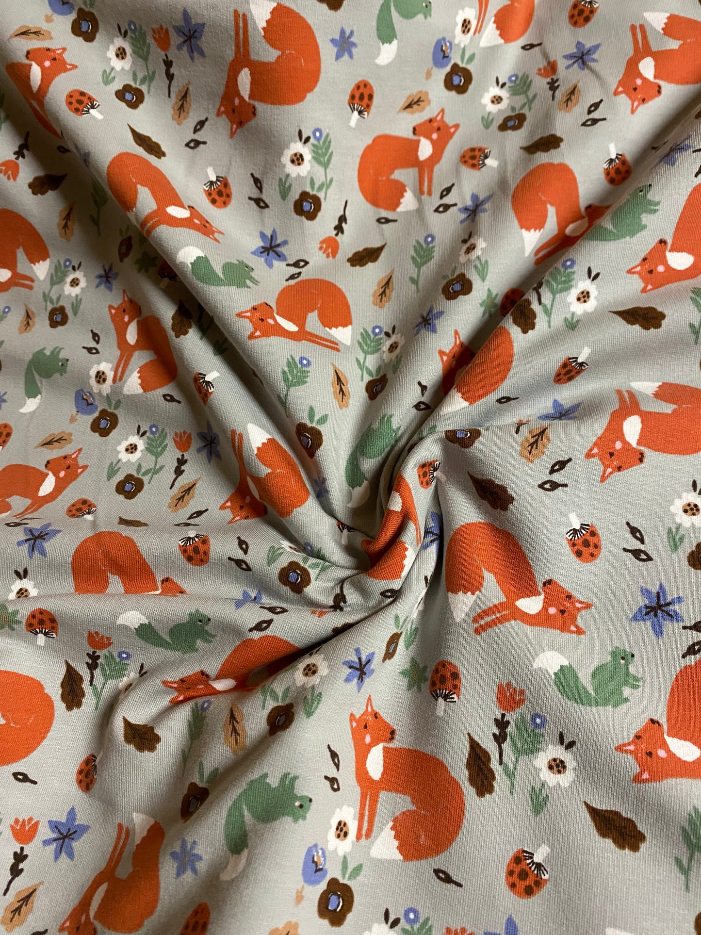 Jersey - French terry (brushed) - Forest fox